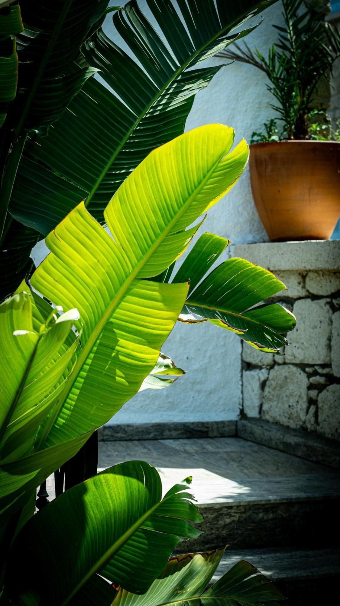 POM Alaçatı Boutique Otel Çeşme Extérieur photo